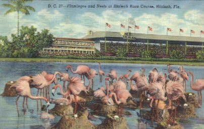 Hialeah, Florida Kartpostalı
