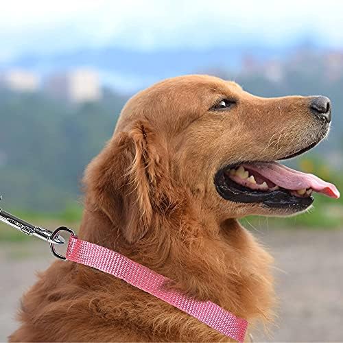 EAARTCHI Klasik Naylon Köpek Tasması ve Tasma Seti, Hızlı Serbest Bırakma Tokalı Ayarlanabilir Yaka Tasma Seti Küçük